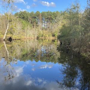 Photo #49 of 1512 Cedar Creek Road, Fayetteville, NC 32.0 acres
