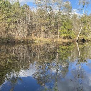 Photo #50 of 1512 Cedar Creek Road, Fayetteville, NC 32.0 acres