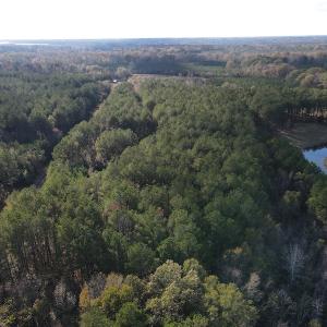 Photo #6 of 1512 Cedar Creek Road, Fayetteville, NC 32.0 acres