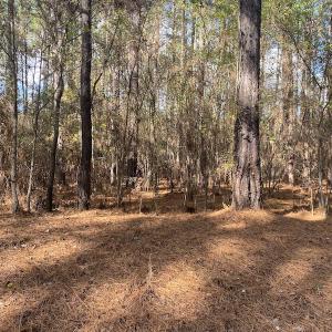 Photo #21 of 1512 Cedar Creek Road, Fayetteville, NC 32.0 acres