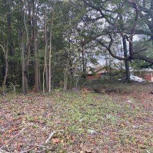 Photo #22 of 1512 Cedar Creek Road, Fayetteville, NC 32.0 acres