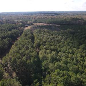 Photo #8 of 1512 Cedar Creek Road, Fayetteville, NC 32.0 acres