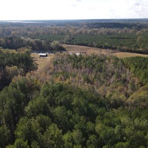 Photo #9 of 1512 Cedar Creek Road, Fayetteville, NC 32.0 acres