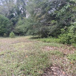 Photo #25 of 1512 Cedar Creek Road, Fayetteville, NC 32.0 acres