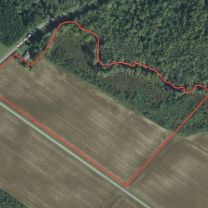 Photo #1 of SOLD property in 234 Burnt Mill Road, Edenton, NC 24.6 acres