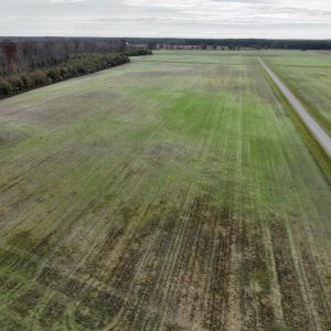 Photo #10 of SOLD property in 234 Burnt Mill Road, Edenton, NC 24.6 acres