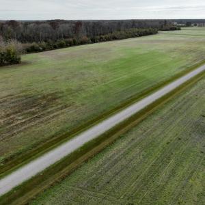 Photo #11 of SOLD property in 234 Burnt Mill Road, Edenton, NC 24.6 acres
