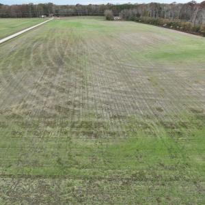 Photo #12 of SOLD property in 234 Burnt Mill Road, Edenton, NC 24.6 acres