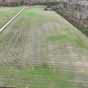 Photo #13 of SOLD property in 234 Burnt Mill Road, Edenton, NC 24.6 acres