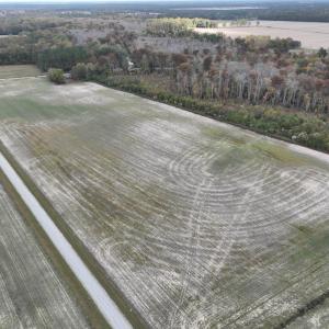 Photo #2 of SOLD property in 234 Burnt Mill Road, Edenton, NC 24.6 acres