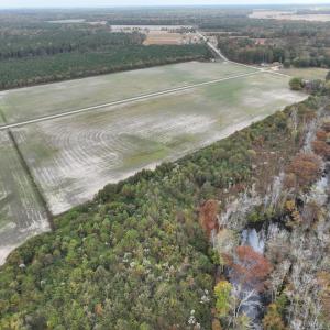 Photo #3 of SOLD property in 234 Burnt Mill Road, Edenton, NC 24.6 acres