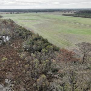 Photo #7 of SOLD property in 234 Burnt Mill Road, Edenton, NC 24.6 acres