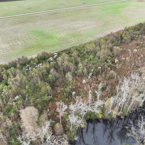 Photo #9 of SOLD property in 234 Burnt Mill Road, Edenton, NC 24.6 acres