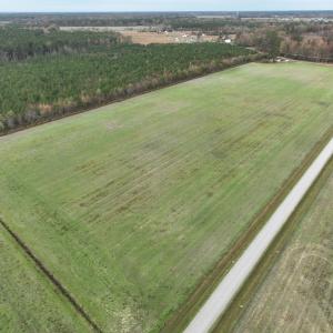 Photo #9 of SOLD property in 208 Burnt Mill Road, Edenton, NC 44.7 acres
