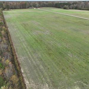Photo #10 of SOLD property in 208 Burnt Mill Road, Edenton, NC 44.7 acres