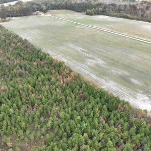 Photo #11 of SOLD property in 208 Burnt Mill Road, Edenton, NC 44.7 acres