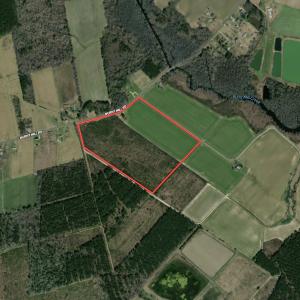 Photo #13 of SOLD property in 208 Burnt Mill Road, Edenton, NC 44.7 acres