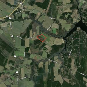Photo #14 of SOLD property in 208 Burnt Mill Road, Edenton, NC 44.7 acres