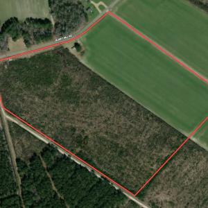 Photo #1 of SOLD property in 208 Burnt Mill Road, Edenton, NC 44.7 acres