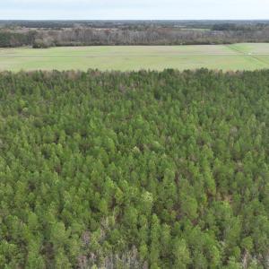 Photo #6 of SOLD property in 208 Burnt Mill Road, Edenton, NC 44.7 acres