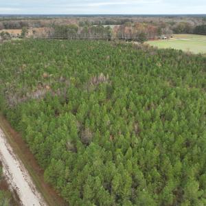 Photo #8 of SOLD property in 208 Burnt Mill Road, Edenton, NC 44.7 acres