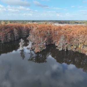 Photo #37 of 806 W Queen Street, Edenton, NC 0.2 acres