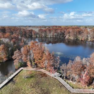 Photo #39 of 806 W Queen Street, Edenton, NC 0.2 acres