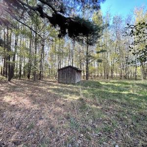 Photo #14 of SOLD property in Off Redwood Road, Onancock, VA 8.0 acres