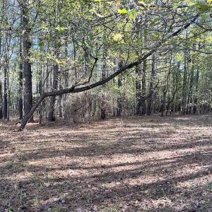 Photo #17 of SOLD property in Off Redwood Road, Onancock, VA 8.0 acres