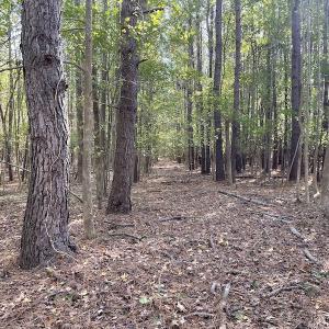 Photo #18 of SOLD property in Off Redwood Road, Onancock, VA 8.0 acres