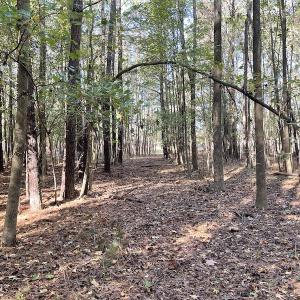 Photo #21 of SOLD property in Off Redwood Road, Onancock, VA 8.0 acres