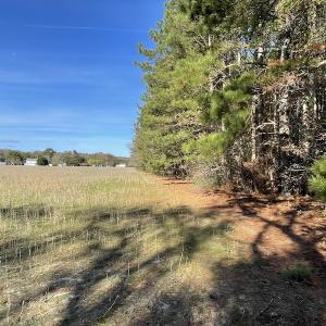 Photo #27 of SOLD property in Off Redwood Road, Onancock, VA 8.0 acres