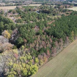 Photo #3 of SOLD property in Off Redwood Road, Onancock, VA 8.0 acres