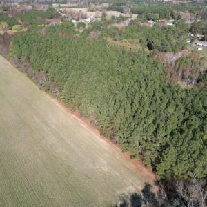 Photo #4 of SOLD property in Off Redwood Road, Onancock, VA 8.0 acres