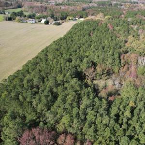 Photo #5 of SOLD property in Off Redwood Road, Onancock, VA 8.0 acres