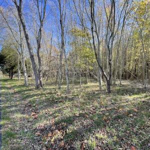 Photo #8 of SOLD property in Off Redwood Road, Onancock, VA 8.0 acres