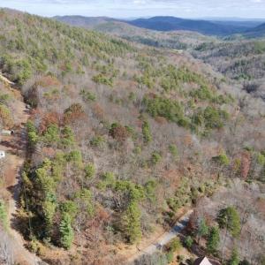 Photo #2 of SOLD property in Off Foley Road, Stuart, VA 6.3 acres