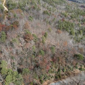Photo #11 of SOLD property in Off Foley Road, Stuart, VA 6.3 acres