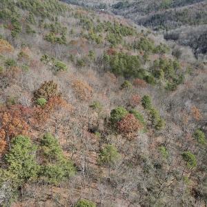 Photo #12 of SOLD property in Off Foley Road, Stuart, VA 6.3 acres