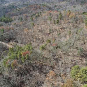 Photo #14 of SOLD property in Off Foley Road, Stuart, VA 6.3 acres