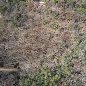 Photo #15 of SOLD property in Off Foley Road, Stuart, VA 6.3 acres