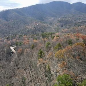 Photo #16 of SOLD property in Off Foley Road, Stuart, VA 6.3 acres