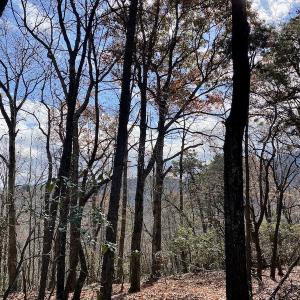 Photo #17 of SOLD property in Off Foley Road, Stuart, VA 6.3 acres