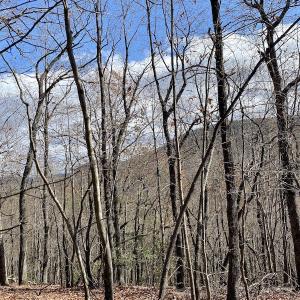 Photo #19 of SOLD property in Off Foley Road, Stuart, VA 6.3 acres