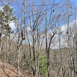 Photo #21 of SOLD property in Off Foley Road, Stuart, VA 6.3 acres