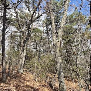 Photo #25 of SOLD property in Off Foley Road, Stuart, VA 6.3 acres