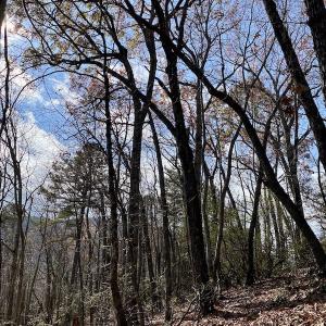 Photo #26 of SOLD property in Off Foley Road, Stuart, VA 6.3 acres