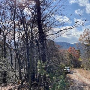 Photo #27 of SOLD property in Off Foley Road, Stuart, VA 6.3 acres