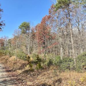 Photo #28 of SOLD property in Off Foley Road, Stuart, VA 6.3 acres