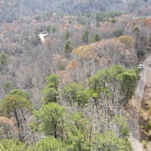 Photo #3 of SOLD property in Off Foley Road, Stuart, VA 6.3 acres